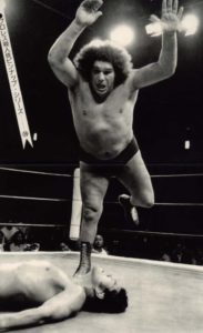 Wer war Andre the giant?