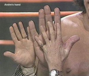 Wer war Andre the giant?