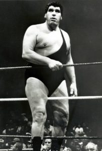 Wer war Andre the giant?