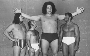 Wer war Andre the giant?
